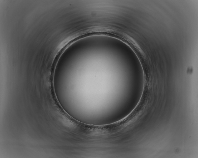 X0000093250786200710031603