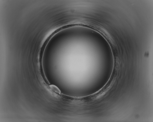 X0000093250788200710031603