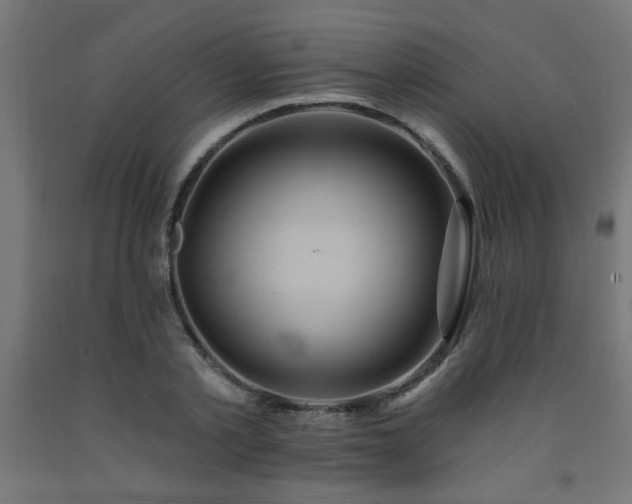 X0000093250789200710031603