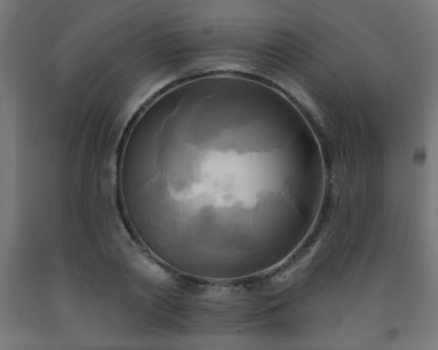 X0000093250790200710031603