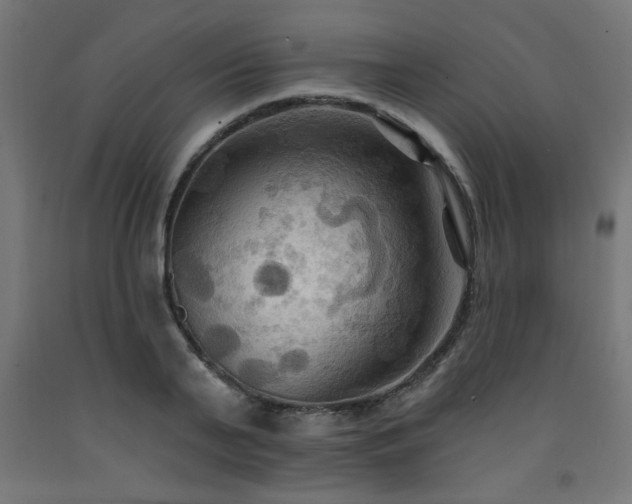 X0000093250791200710031603