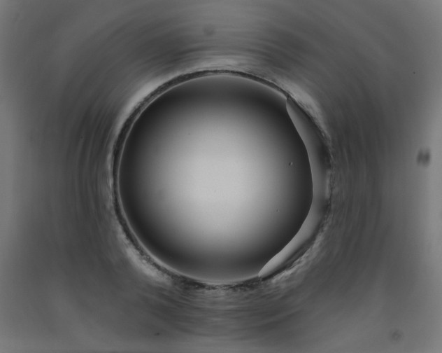 X0000093250792200710031603