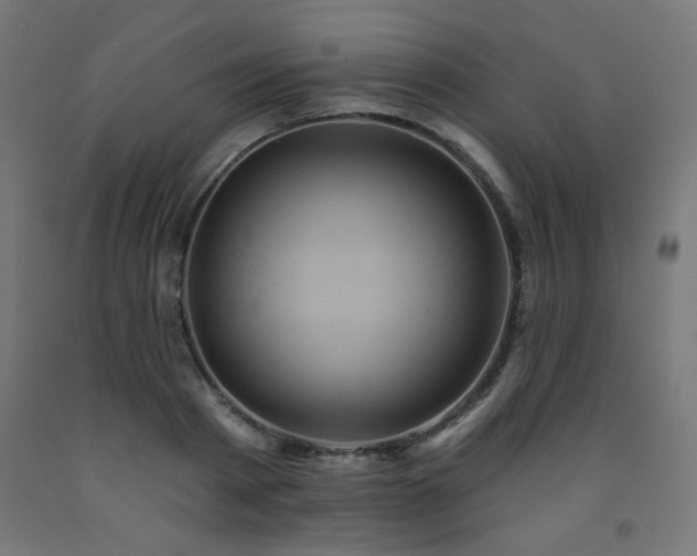 X0000093250793200710031603