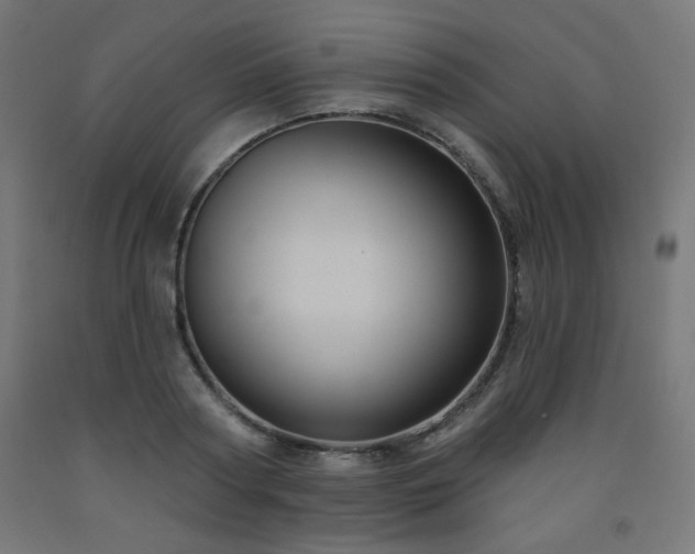 X0000093250794200710031603