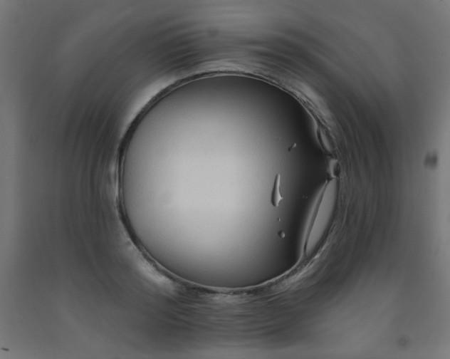 X0000093250796200710031603