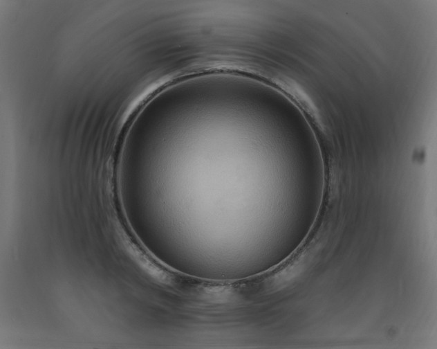 X0000093250798200710031603