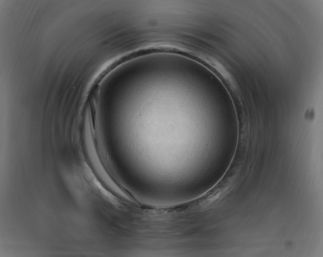 X0000093250799200710031603