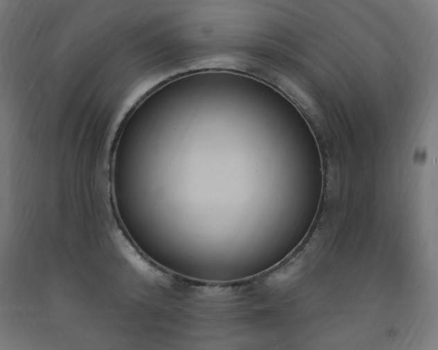 X0000093250800200710031603