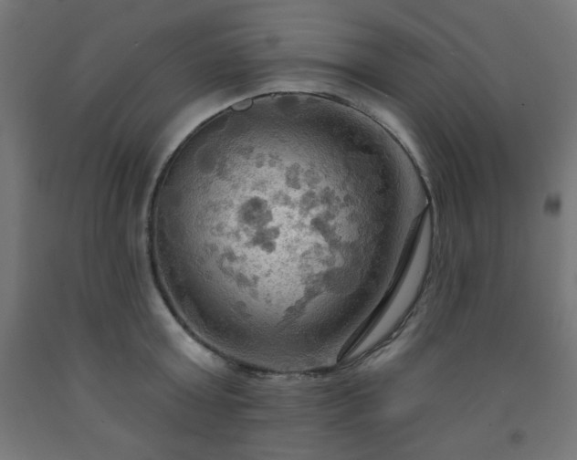 X0000093250803200710031603