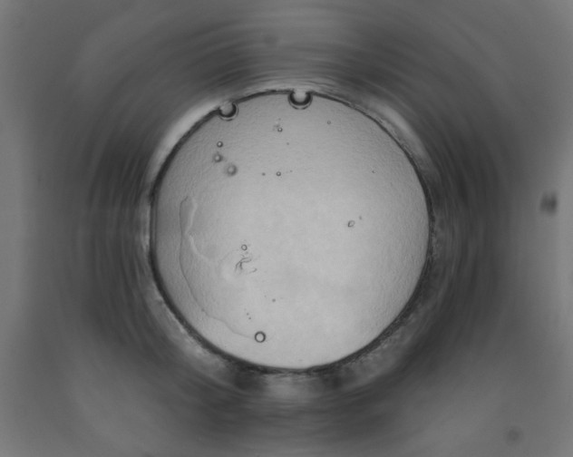 X0000093250804200710031603