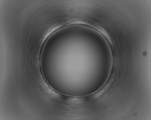 X0000093250806200710031603