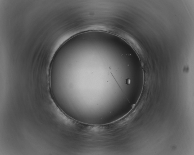 X0000093250808200710031603