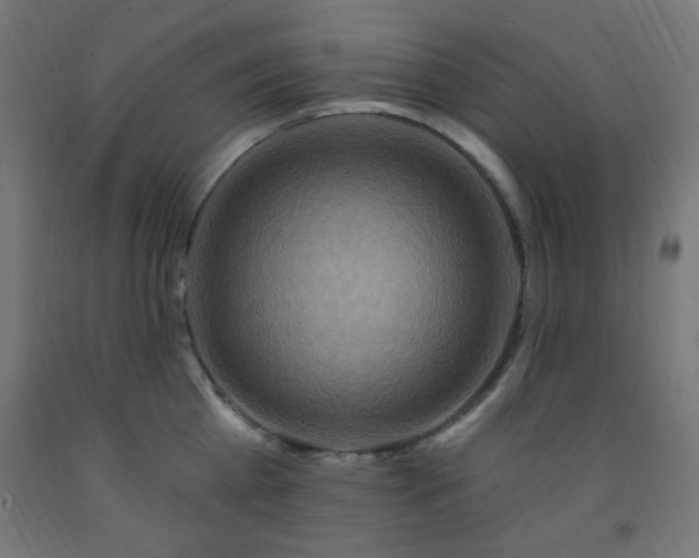 X0000093250809200710031603