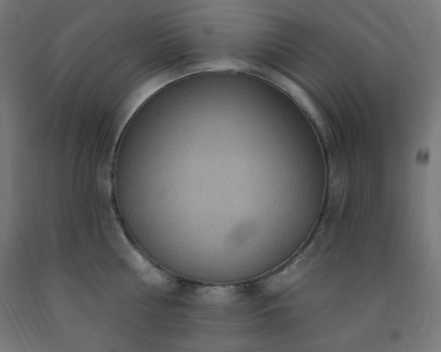 X0000093250810200710031603