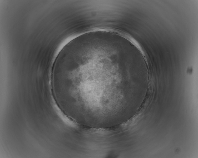 X0000093250811200710031603