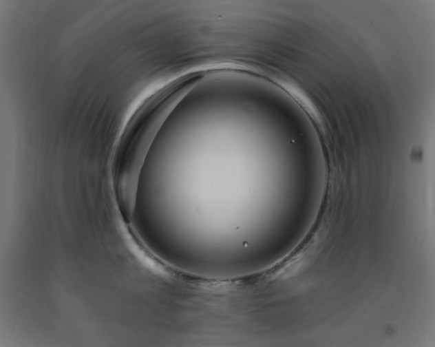 X0000093250813200710031603