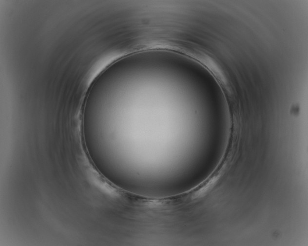 X0000093250814200710031603