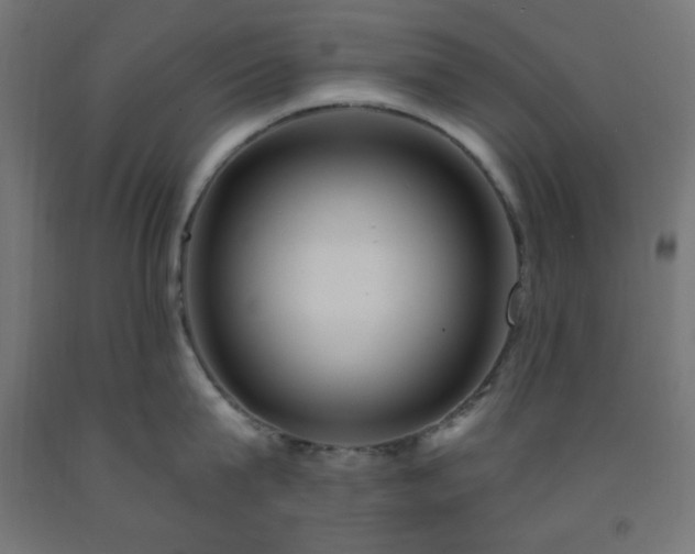 X0000093250815200710031603