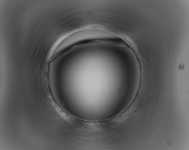 X0000093250816200710031603