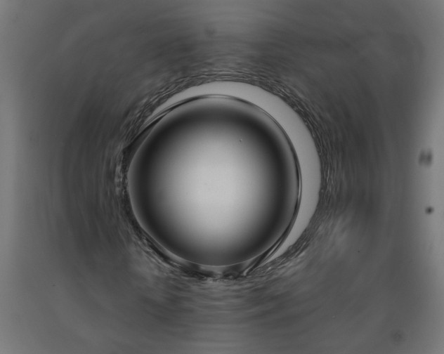 X0000093250818200710031602