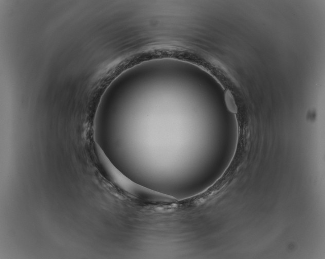 X0000093250822200710031602