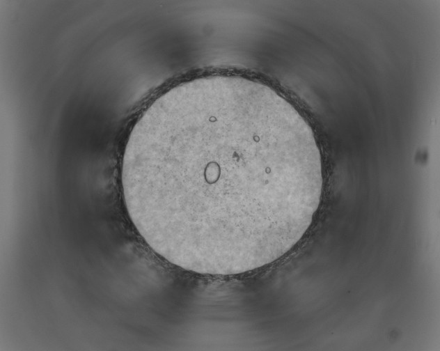 X0000093250824200710031602