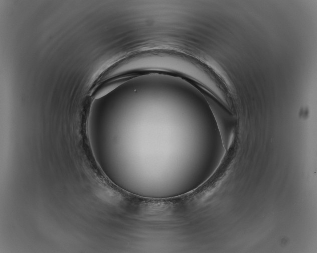 X0000093250826200710031602