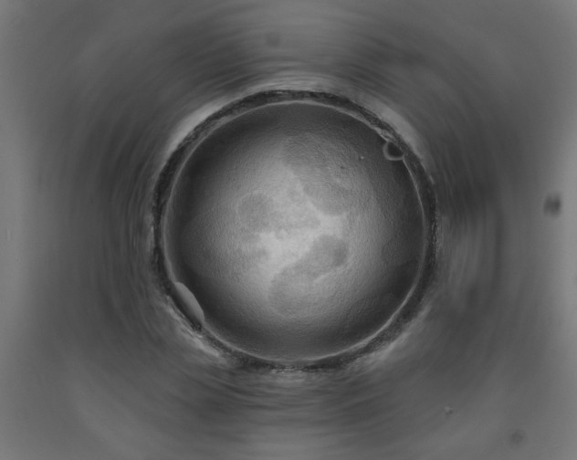 X0000093250829200710031602