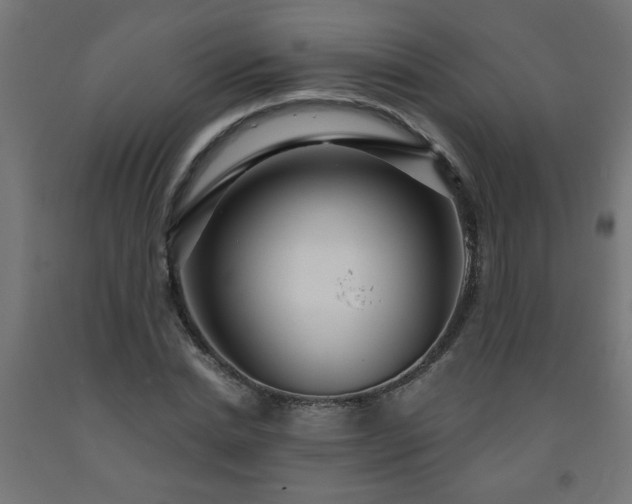 X0000093250830200710031602