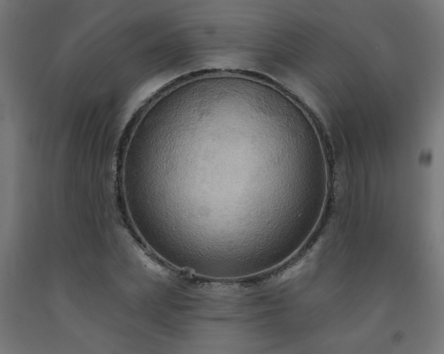 X0000093250831200710031602