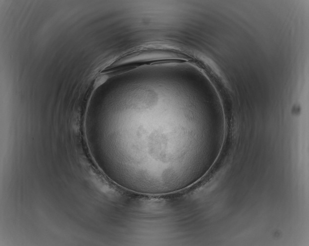 X0000093250833200710031602