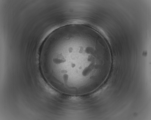 X0000093250835200710031602