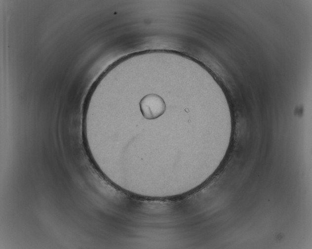 X0000093250836200710031602