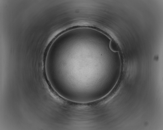 X0000093250837200710031602