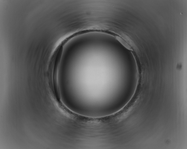 X0000093250838200710031602