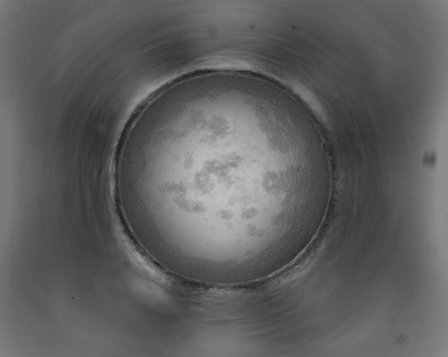 X0000093250840200710031602