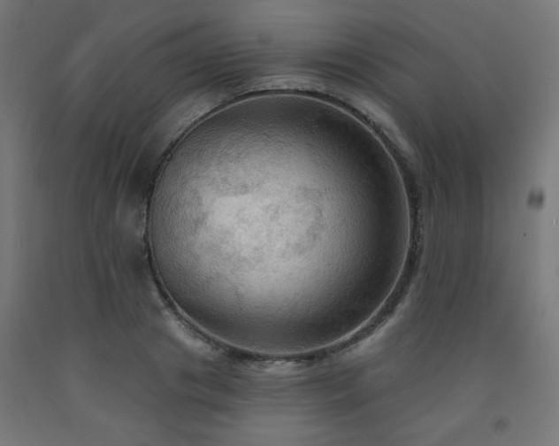 X0000093250841200710031602