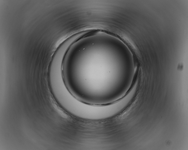 X0000093250842200710031602