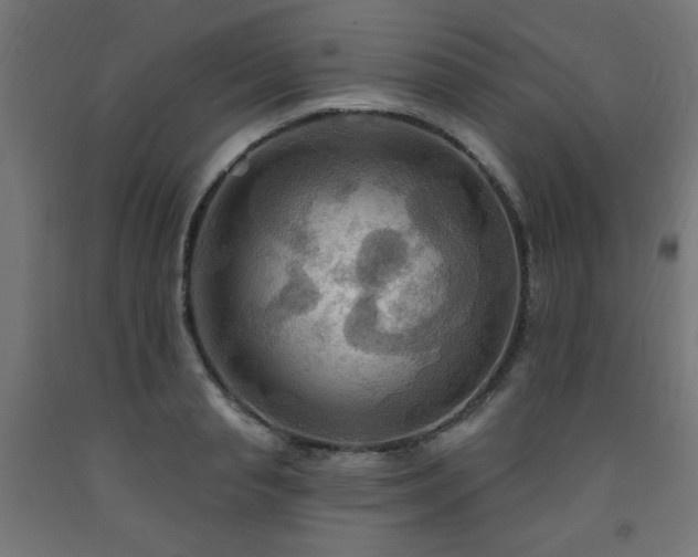 X0000093250845200710031602