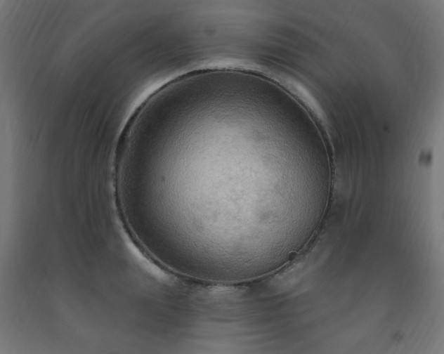 X0000093250847200710031602