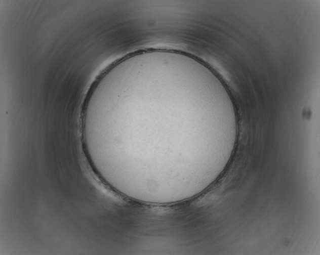 X0000093250848200710031602