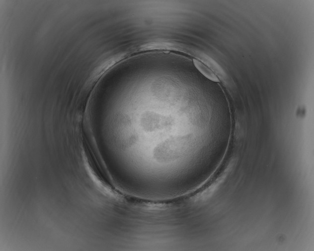 X0000093250849200710031602