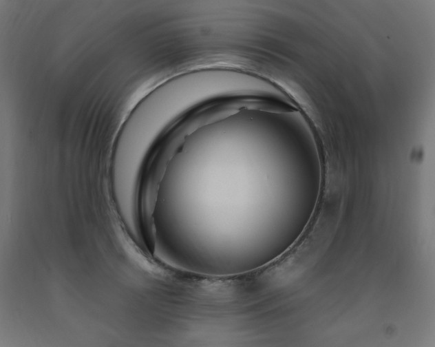 X0000093250850200710031602