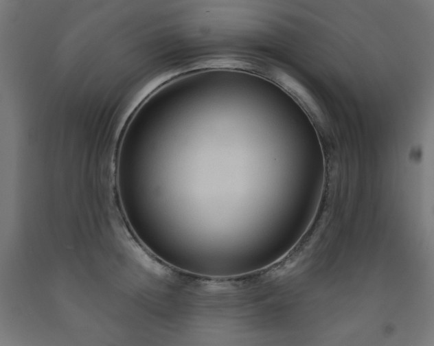 X0000093250852200710031602