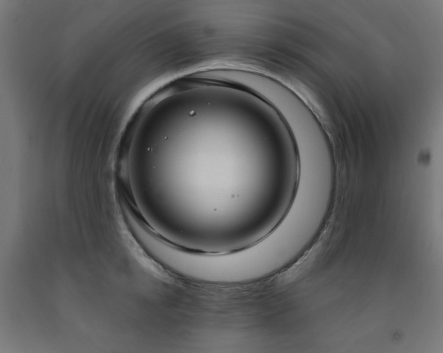 X0000093250854200710031602