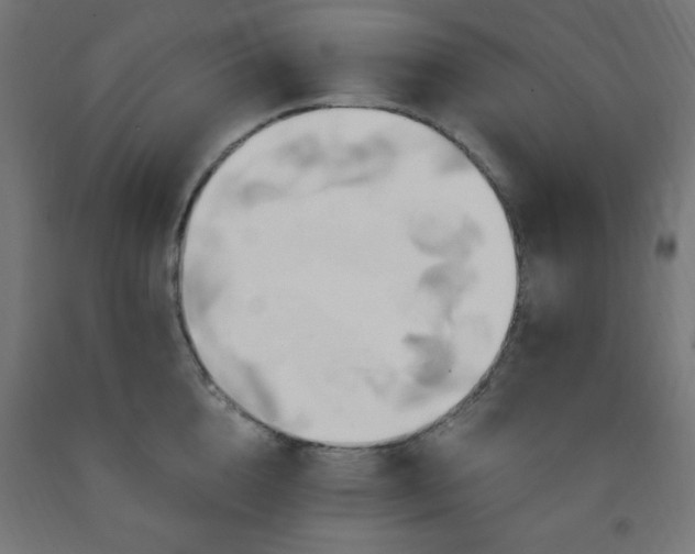 X0000093250856200710031602