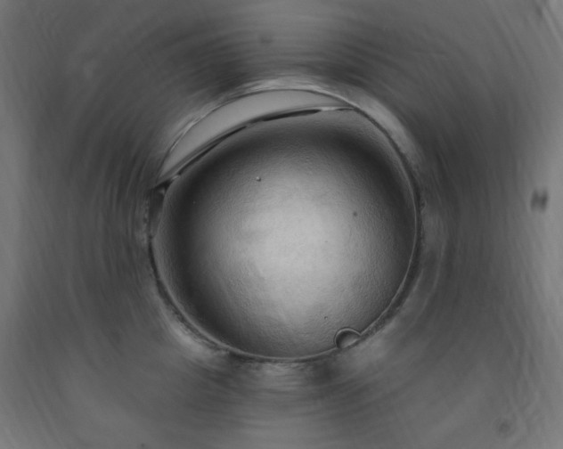 X0000093250857200710031603