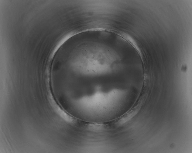 X0000093250859200710031603