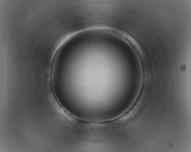 X0000093250860200710031603