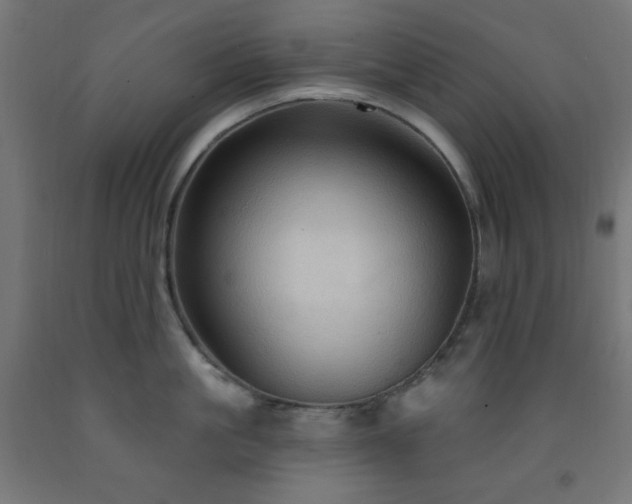 X0000093250861200710031603